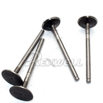Renault LOGAN 7701475895 Sandero / Stepway I Exhaust Engine Valve With Demagnetization