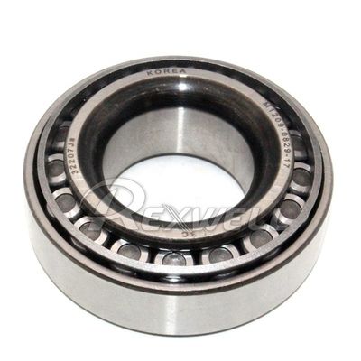 Ocean / Air Cargo / Express Rear Differential Bearing 5170345210 For Hyundai HD35 HD75