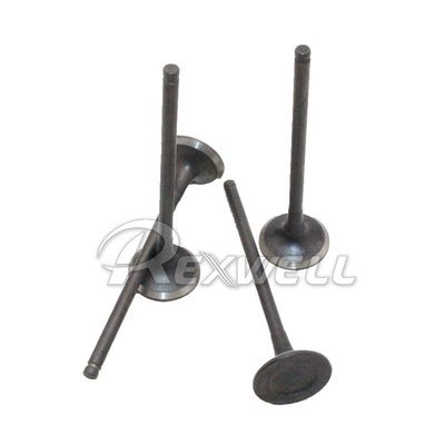 22212-25002 Engine Demagnetization Material for HYUNDAI Sonata G4KD 2.0 Exhaust Valves